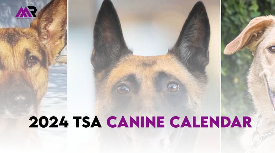 2024 TSA Canine Calendar