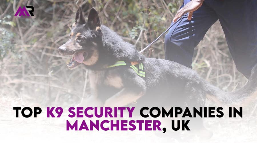 Top k9 Security Companies In Manchester UK