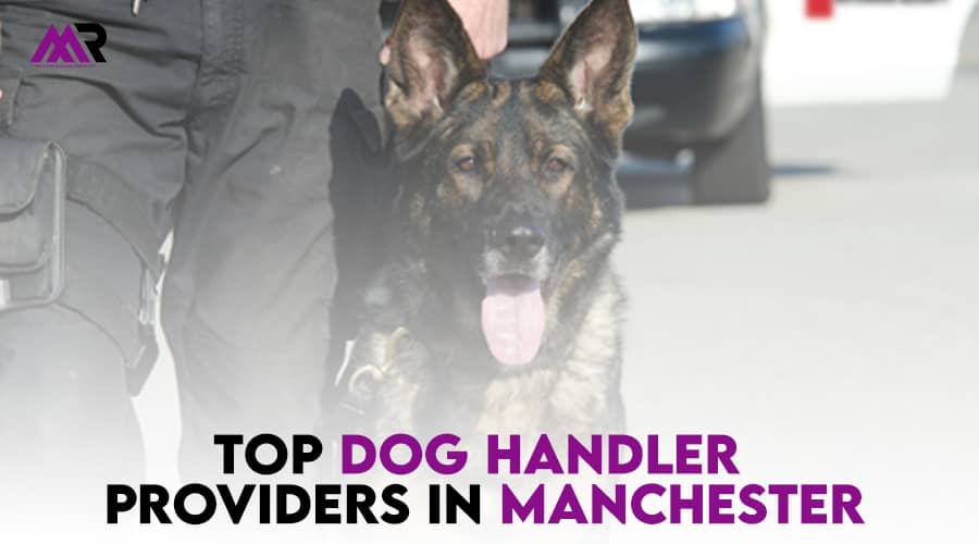 Top Dog Handler Providers in Manchester