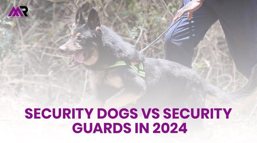 Security Dogs vs. Security Guards in 2024